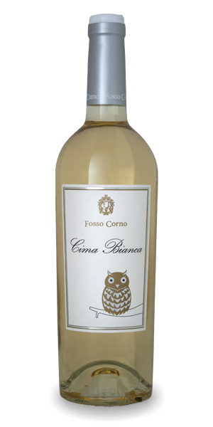 Fosso Corno Cima Bianca 2017