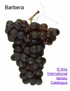 Geassembleerde Wijnen