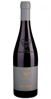 Pico Maccario Monferrato Rosso Cantamerli 2013